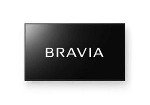 【ブラビア】FW-55BZ30L